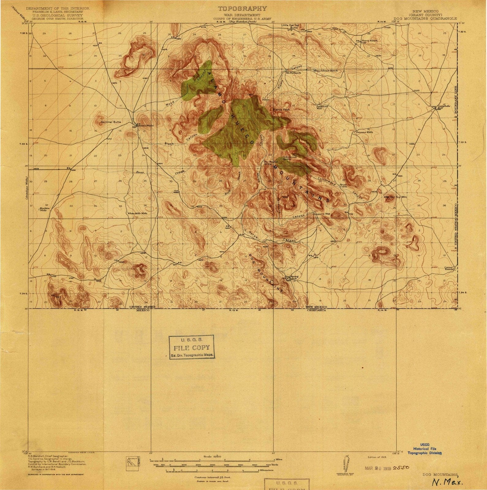 1918 Dog Mountains, NM - New Mexico - USGS Topographic Map