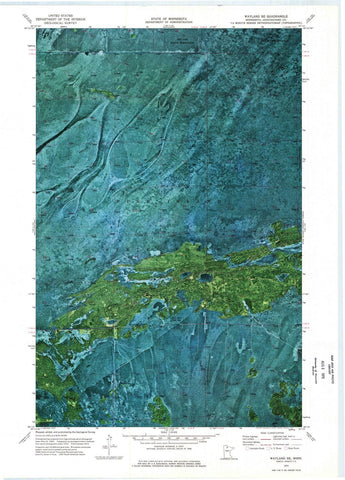 1973 Wayland, MN - Minnesota - USGS Topographic Map v2