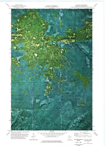 1973 Wayland, MN - Minnesota - USGS Topographic Map v3