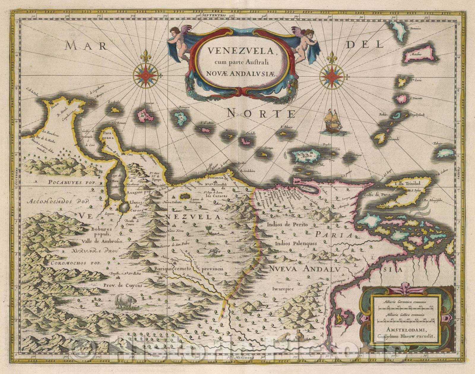 Historic Map : Venezuela, cum parte australi novae Andalusiae, c. 1664 , Vintage Wall Art