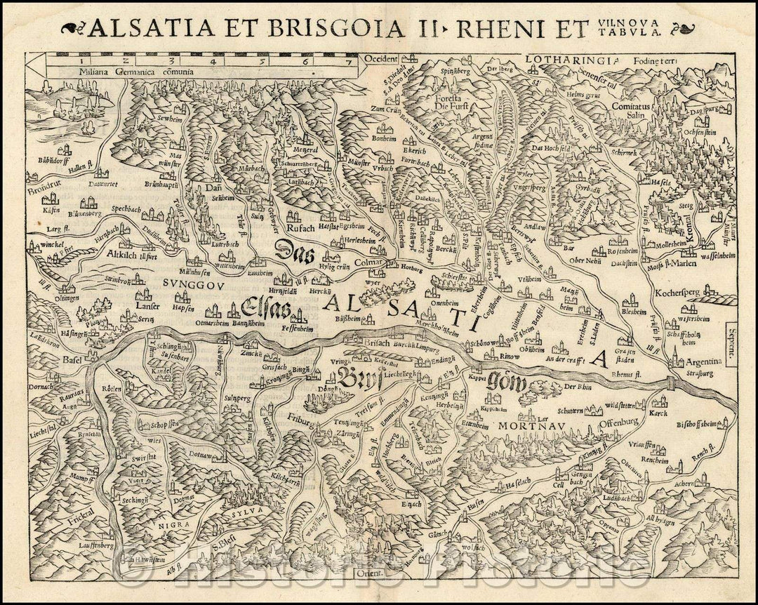 Historic Map - Alsatia et Brisgoia II Rheni Et VII Nova Tabula/Map of the Rhine River Valley, from Strasbourg and Argentina to Basel and Laufenberg, 1542 - Vintage Wall Art