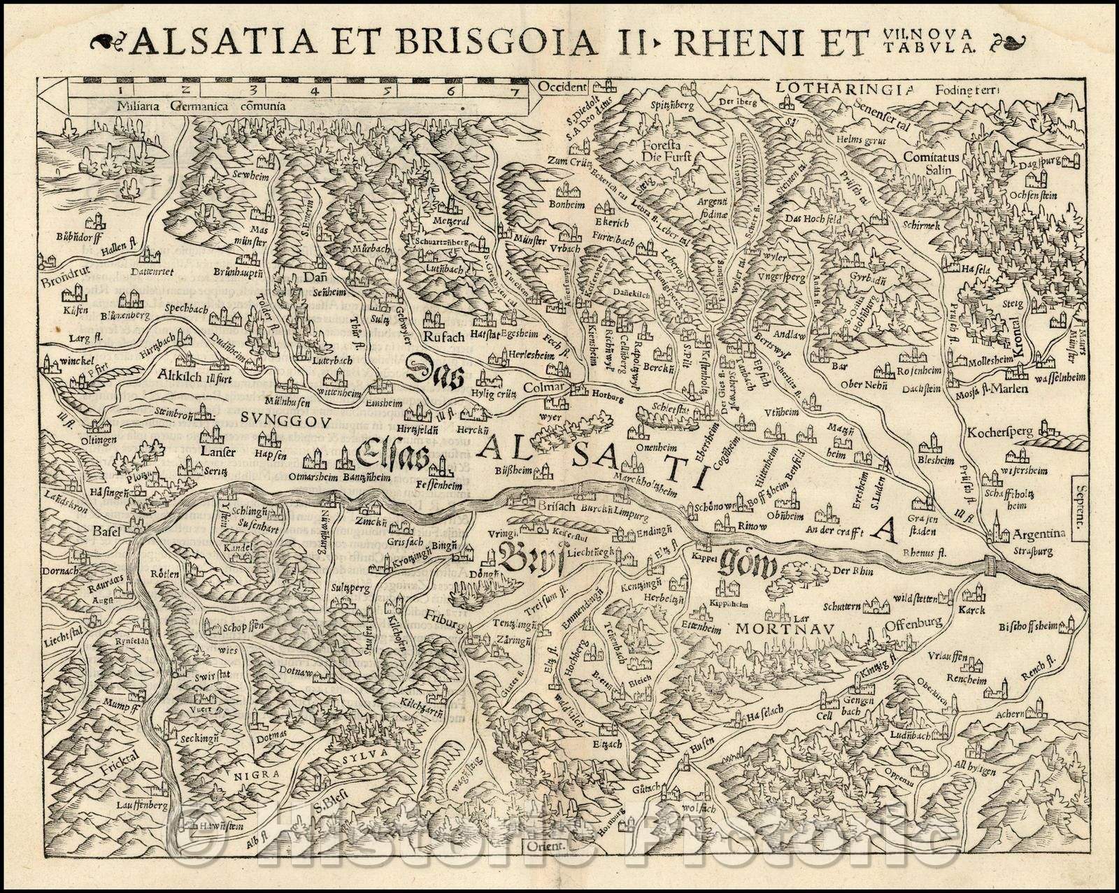 Historic Map - Alsatia et Brisgoia II Rheni Et VII Nova Tabula/Map of the Rhine River Valley, from Strasbourg and Argentina to Basel and Laufenberg, 1542 - Vintage Wall Art