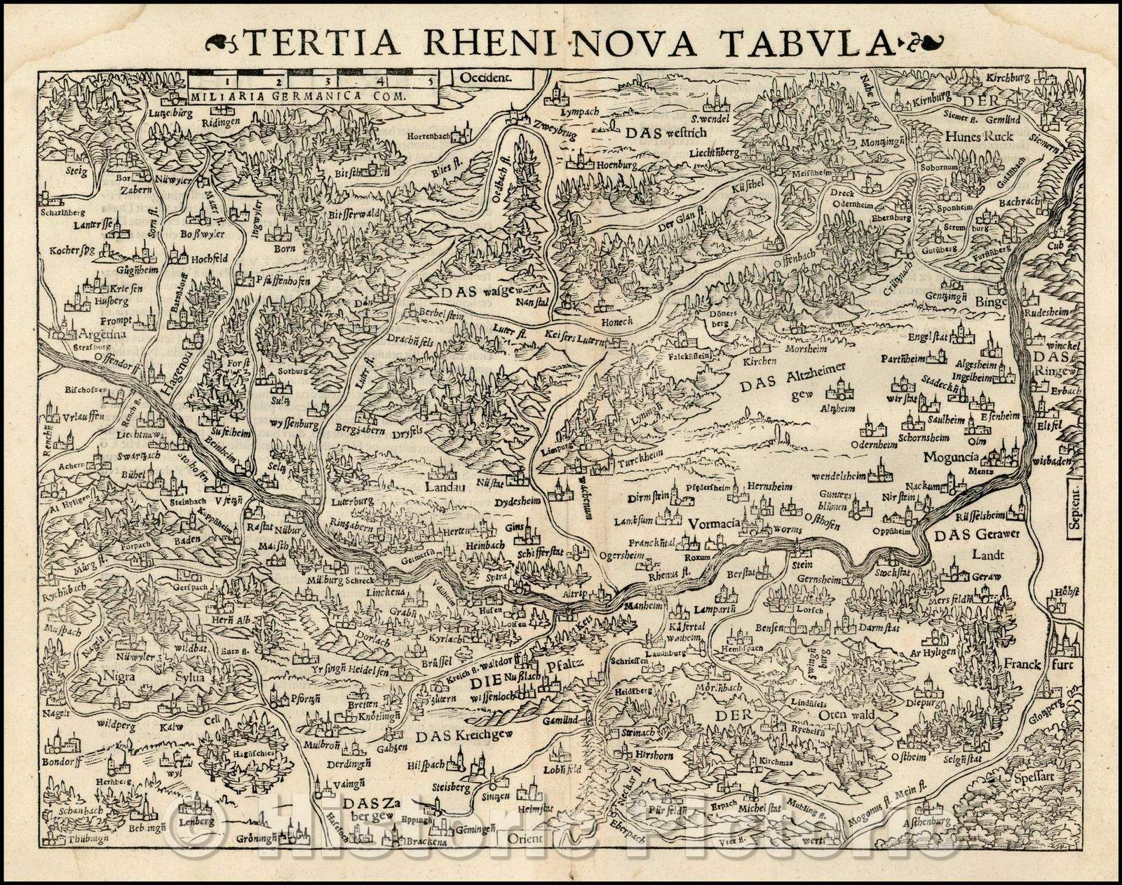 Historic Map - Tertia Rheni Nova Tabula :: Rhine River, from Bachrach, Binge and Siemmern, Ofendorf, Strasburg and Argentina Strasburg and Argentina, 1542 - Vintage Wall Art