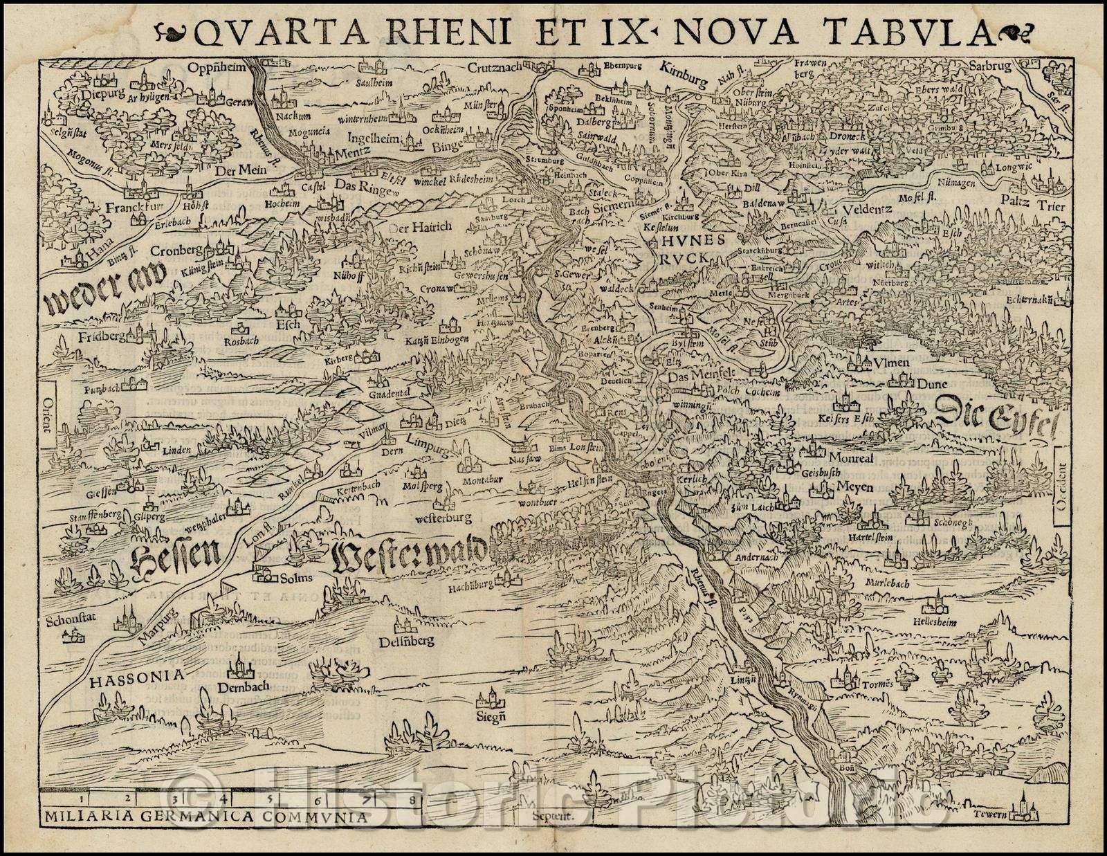 Historic Map - Quarta Rheni et IX Nova Tabula [Rhine River Valley]/Reno quarter and 9 Nova [Rhine River Valley], 1542, Sebastian M?nster - Vintage Wall Art