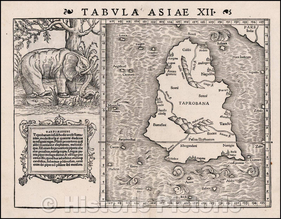 Historic Map - Tabula Asiae XII Sri Lanka - with Elephant, 1542, Sebastian M?nster - Vintage Wall Art