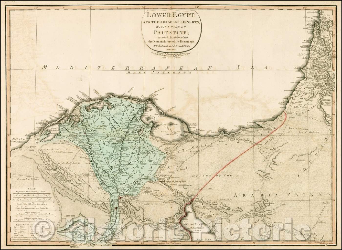 Historic Map - Lower Egypt and the Adjacent Deserts, with a Part of Palestine; to which has been added the Nomenaclature of the Roman Age, 1802, William Faden - Vintage Wall Art