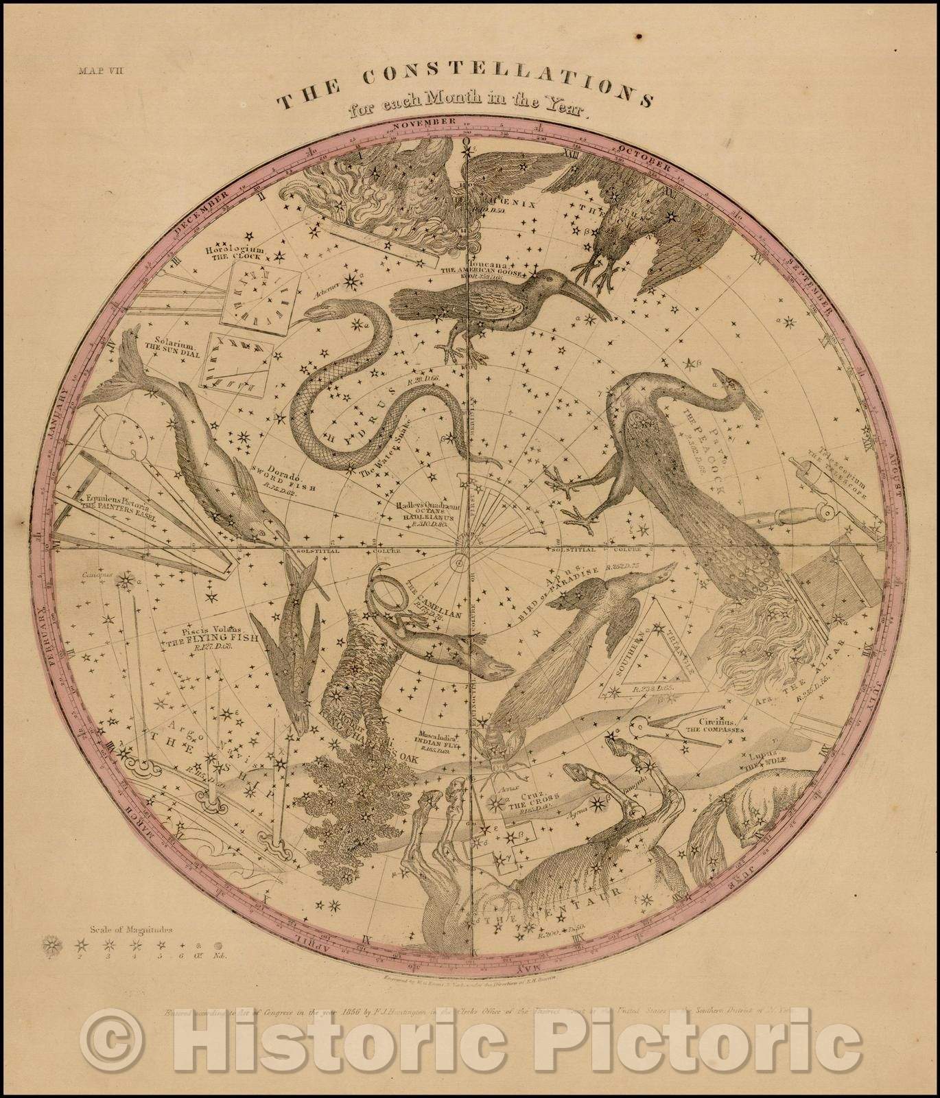 Historic Map - The Consellations (Southern Hemisphere), 1856, Elijah J. Burritt - Vintage Wall Art