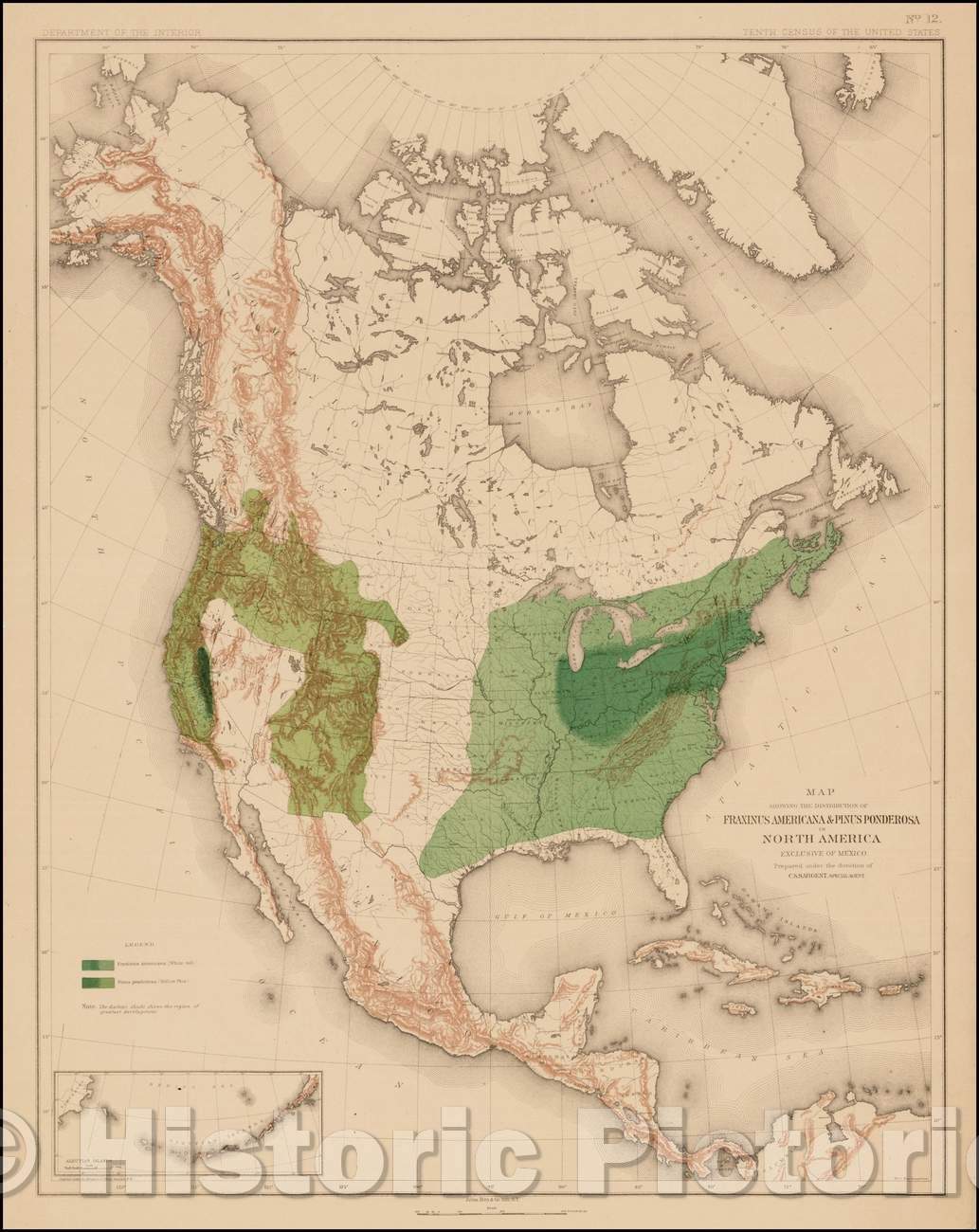 Historic Map - Map Showing The Distribution Of The Genus Fraxinus Americana & Pinus Ponderosa In North America Exclusive of Mexico, 1884, Julius Bien & Co. - Vintage Wall Art