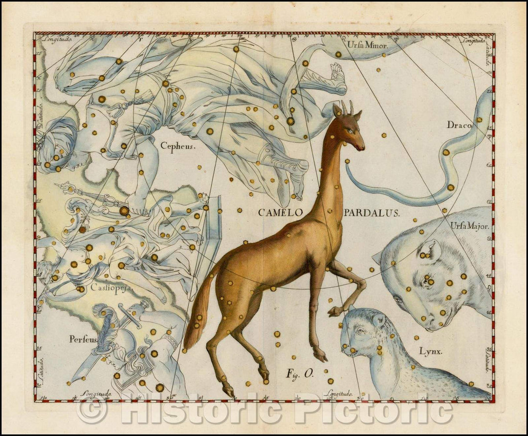 Historic Map - Camelo Pardalus/Johannes Hevelius's Chart of the constellation, 1687, Johannes Hevelius - Vintage Wall Art