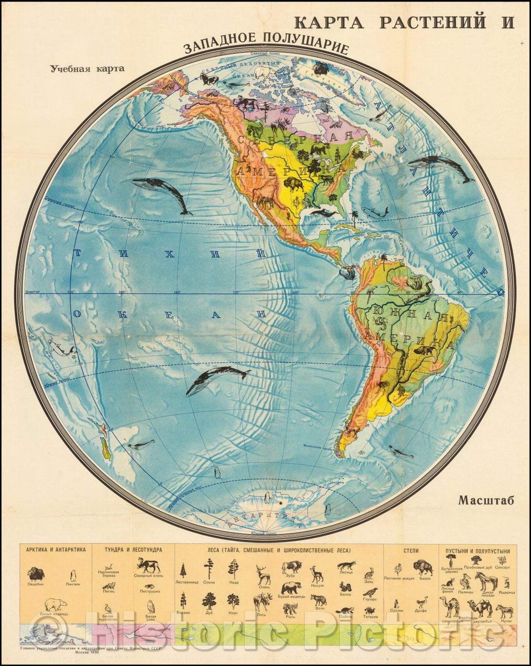 Historic Map - Russian Wall Map of Western Hemisphere: 'Map of Plants and Animals' Karta Rasteniy i Zhivotniiy, 1980 - Vintage Wall Art