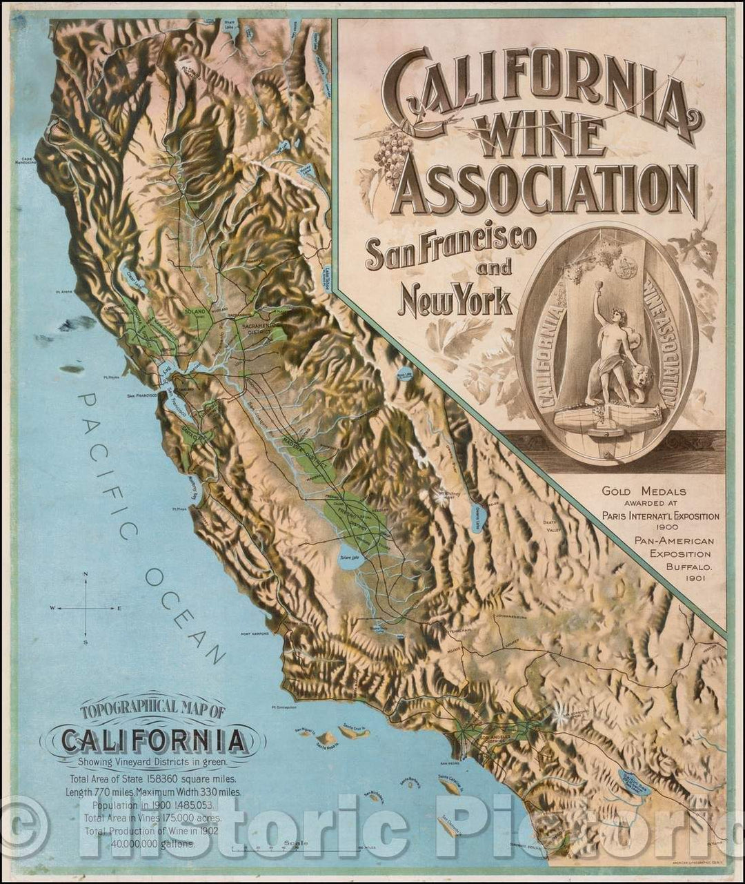 Historic Map - Topographical Map of California Showing Vineyard Districts in green, 1903, California Wine Association - Vintage Wall Art