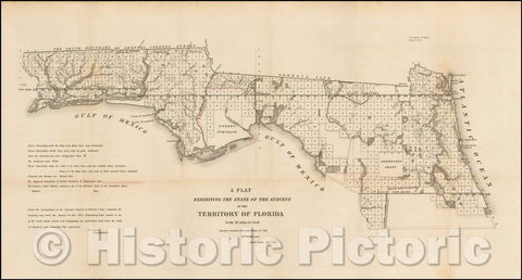 Historic Map - A Plat Exhibiting The State of the Surveys in the Territory of Florida, 1839, U.S. Surveyor General - Vintage Wall Art