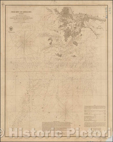 Historic Map - Cedar Keys and Approaches Florida From a Trigonometric Survey, 1854, United States Coast Survey - Vintage Wall Art