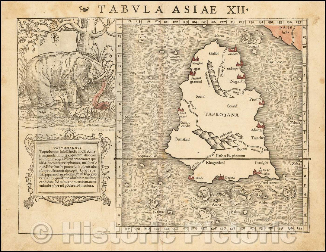 Historic Map - Tabula Asiae XII Sri Lanka - with Elephant, 1540, Sebastian M?nster - Vintage Wall Art