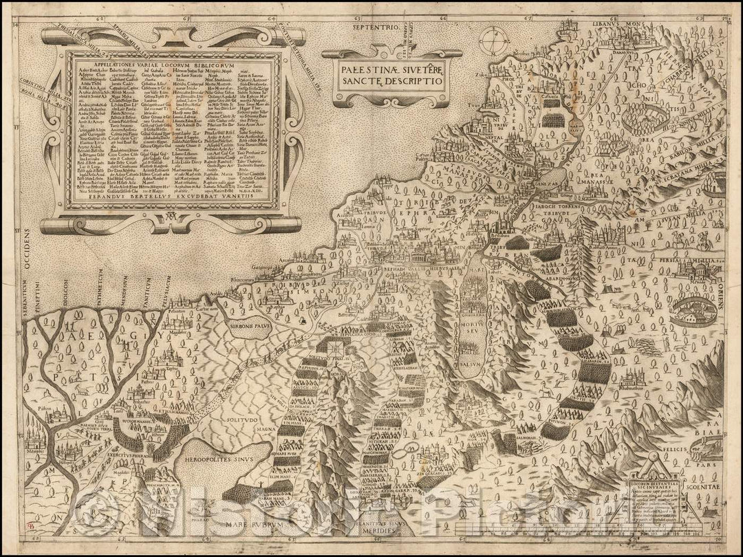 Historic Map - Palestinae Sive Terre Sancte Descriptio/example of this Map of the Holy Land, published in Venice by Bertelli, 1563, Ferrando Bertelli - Vintage Wall Art