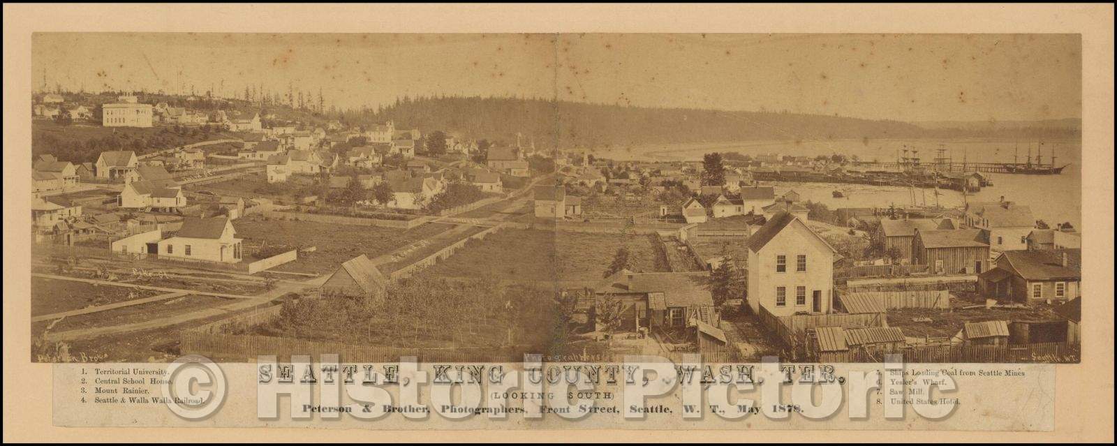 Historic Map - Seattle, King County, Wash. Ter. (Looking South), 1878, Peterson & Brother - Vintage Wall Art