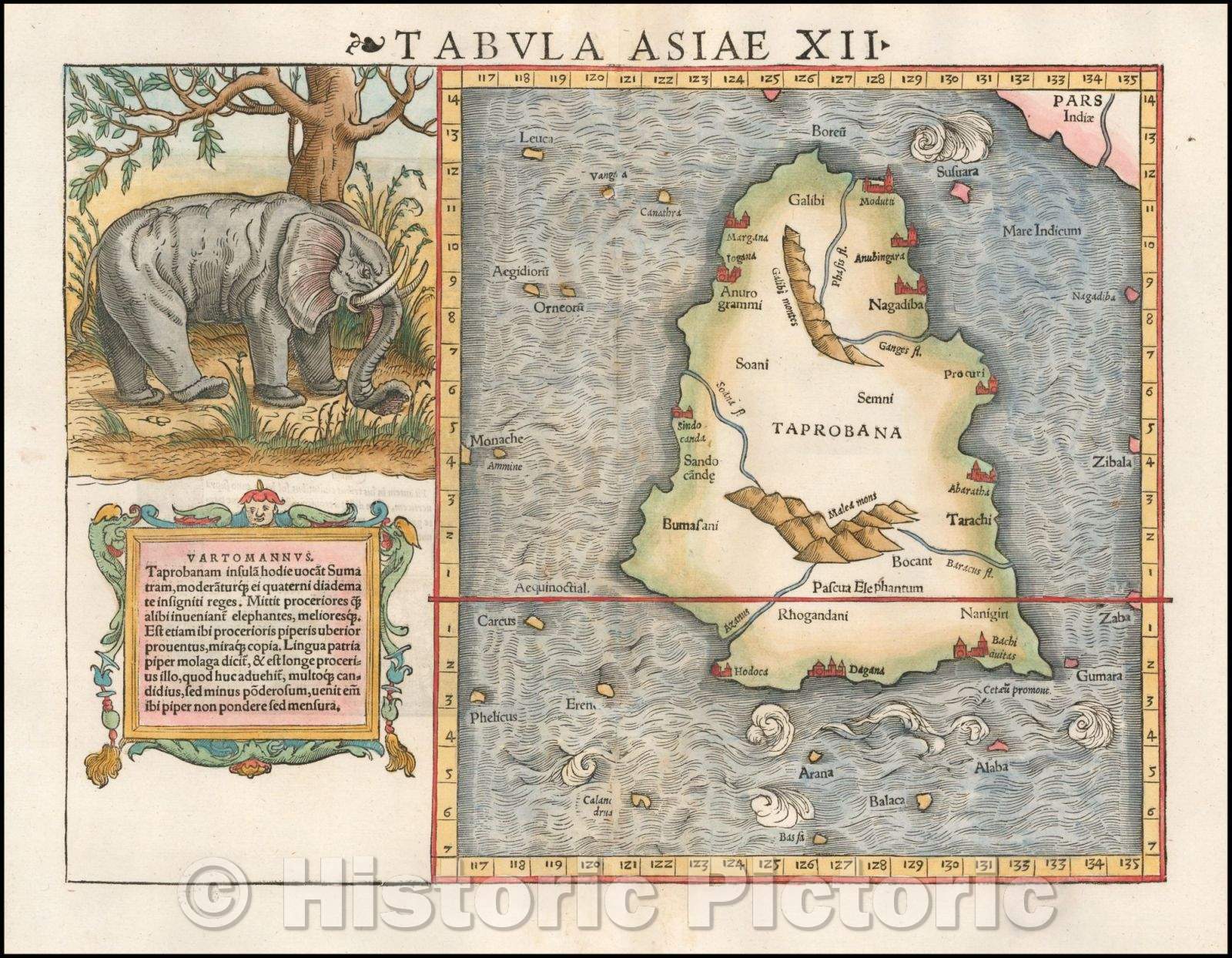 Historic Map - Tabula Asiae XII Sri Lanka - with Elephant, 1545, Sebastian M?nster - Vintage Wall Art