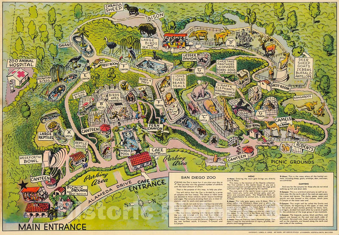 Historic Map : San Diego Zoo., 1944, Vintage Wall Decor