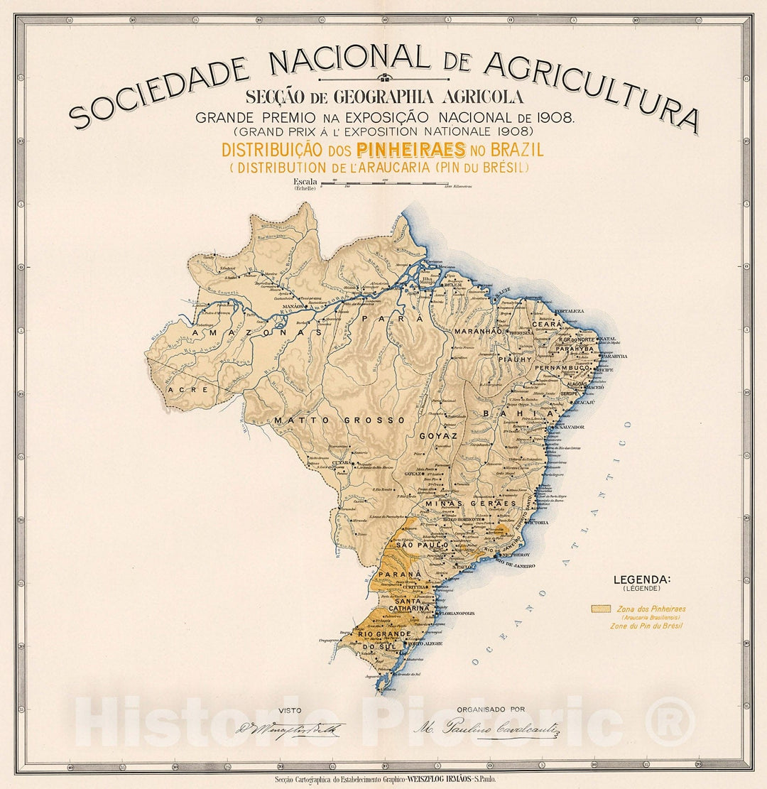 Historic Map : Distribuicao da Pinheiraes no Brazil, 1908, Vintage Wall Decor