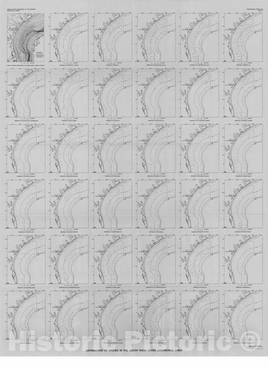 Map : Geobiologic study of the south Texas outer continental shelf, 1982 Cartography Wall Art :