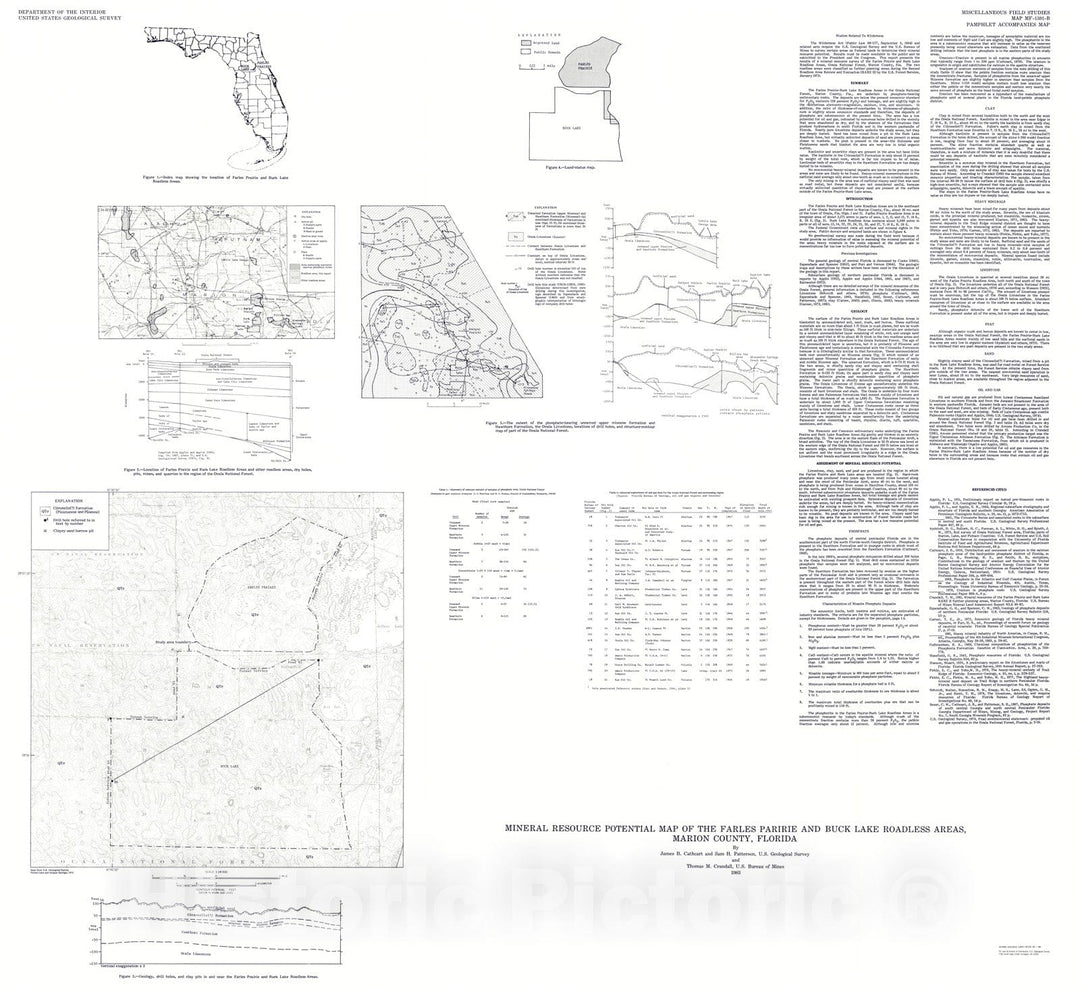 Map : Mineral resource potential map of the Farles Prairie and Buck Lake Roadless Areas, Marion County, Florida, 1983 Cartography Wall Art :