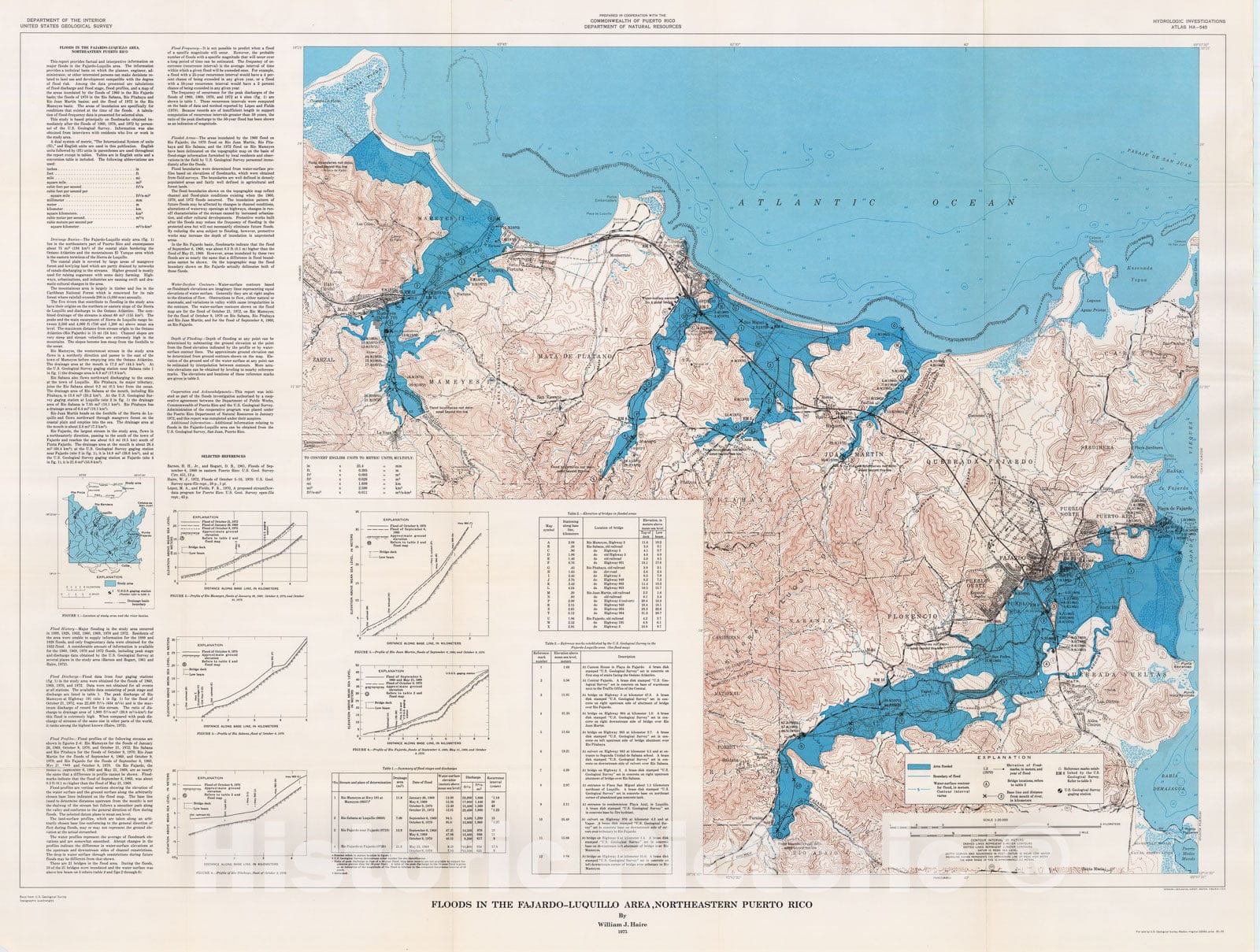 Map : Floods in the Fajarido - Luguillo area, northeastern Puerto Rico, 1975 Cartography Wall Art :