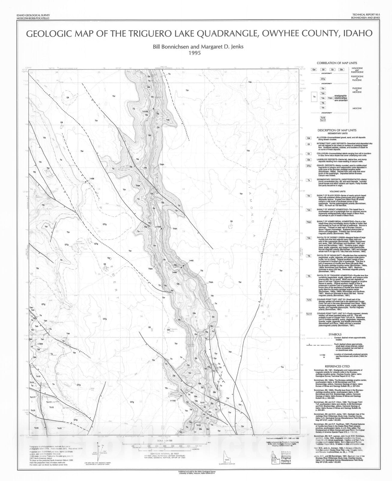 Map : Geologic map of the Triguero Lake quadrangle, Owyhee County, Idaho, 1995 Cartography Wall Art :