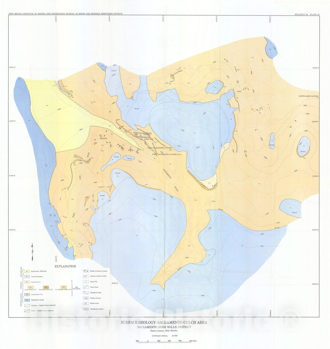 Map : Surface geology-Sacramento Gulch area, Sacramento (High Rolls) district, 1965 Cartography Wall Art :