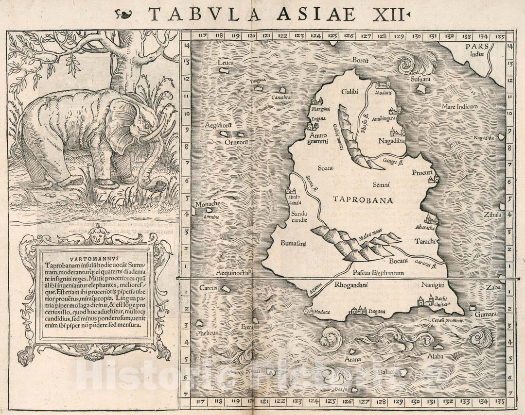 Historic Map : Asiae tabula XII, 1540, Vintage Wall Art