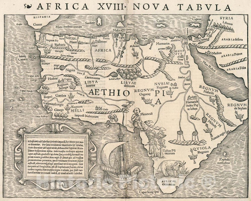 Historic Map : Africa XVIII Nova Tabula, 1540, Vintage Wall Art