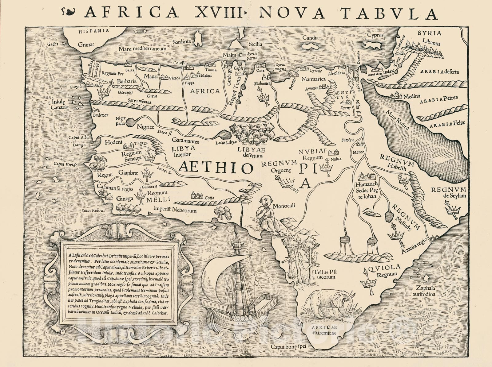 Historic Map : Africa XVIII Nova Tabula, 1540, Vintage Wall Art