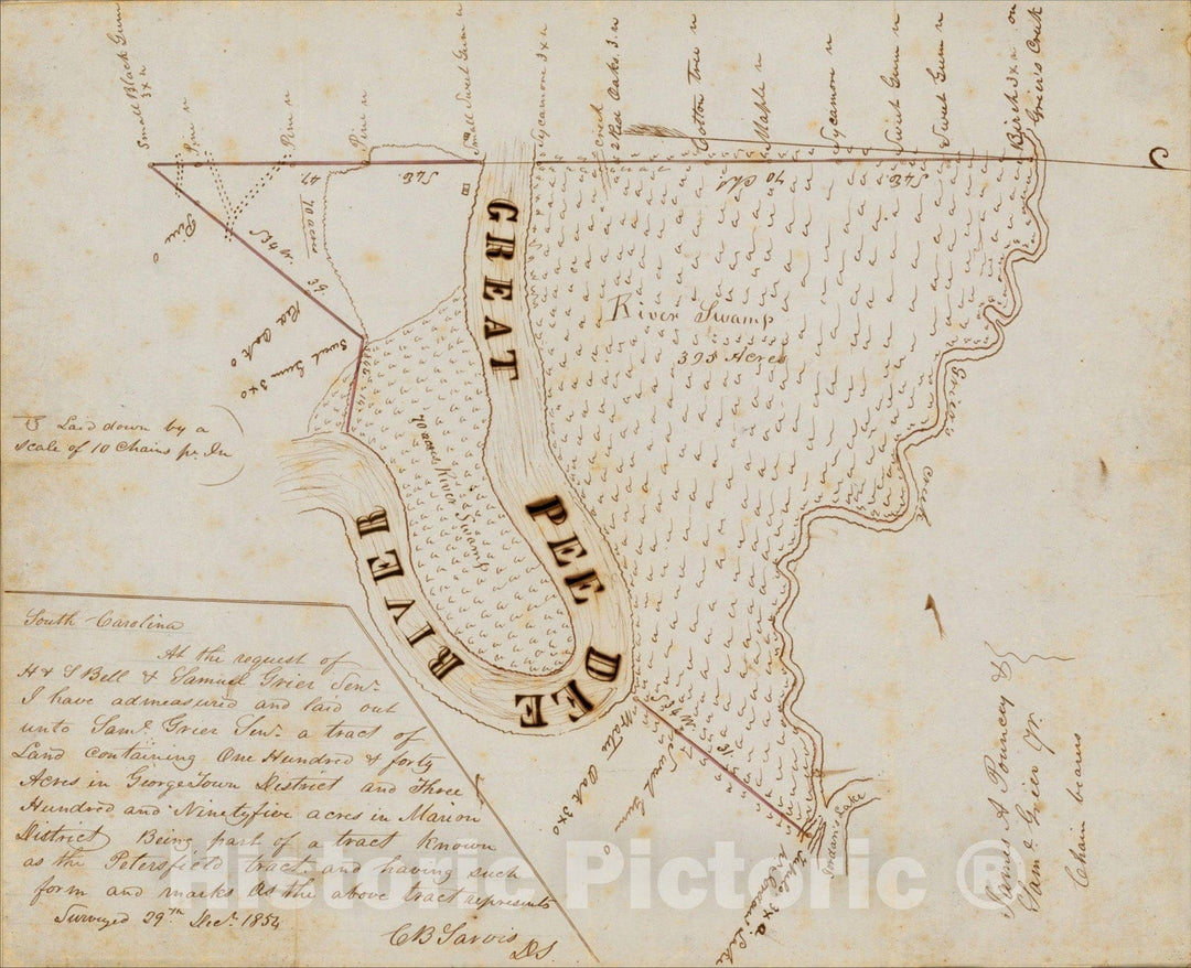 Historic Map : [Manuscript Survey Map: Part of the Petersfield Tract on the Great Pee Dee River, northwest of Conway, South Carolina], 1854, C.B. Sarvis, Vintage Wall Art