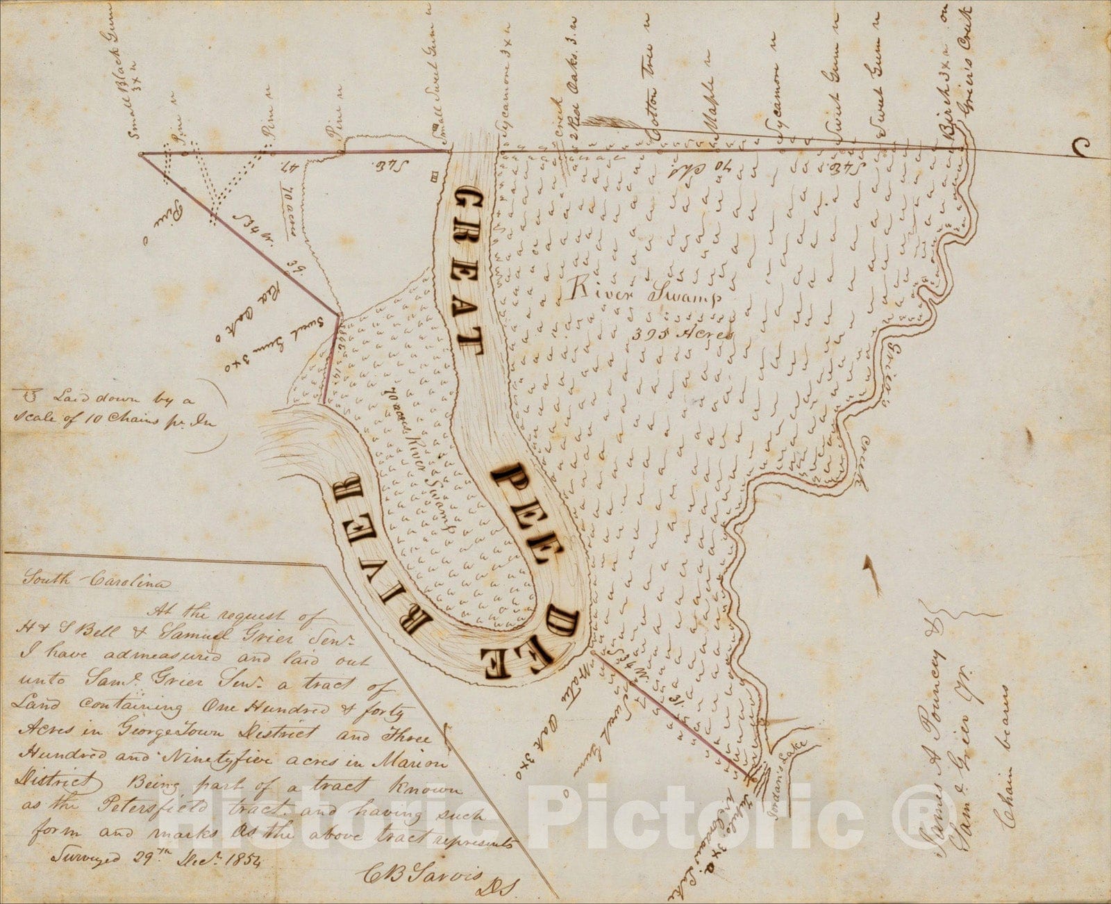 Historic Map : [Manuscript Survey Map: Part of the Petersfield Tract on the Great Pee Dee River, northwest of Conway, South Carolina], 1854, C.B. Sarvis, Vintage Wall Art