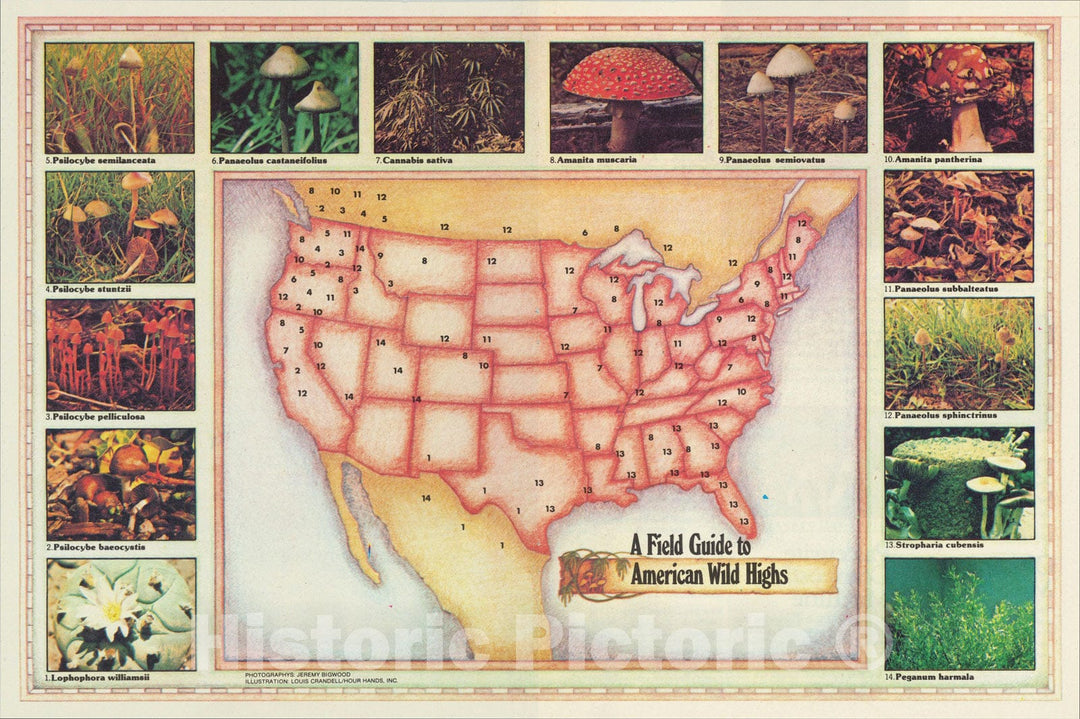 Historic Map : [Counterculture - Drug Culture] A Field Guide to American Wild Highs, 1978, Louis Crandell, Vintage Wall Art