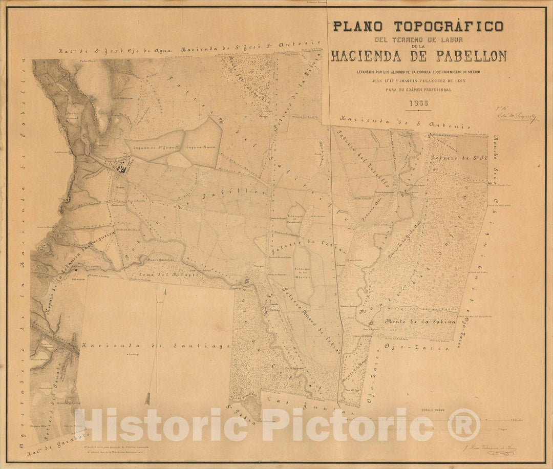 Historic Map : Plano Topografico del Terreno de Labor de la Hacienda de Pabellon, 1888, Juan Luis y Joaquin Velazquez de Leon, Vintage Wall Art