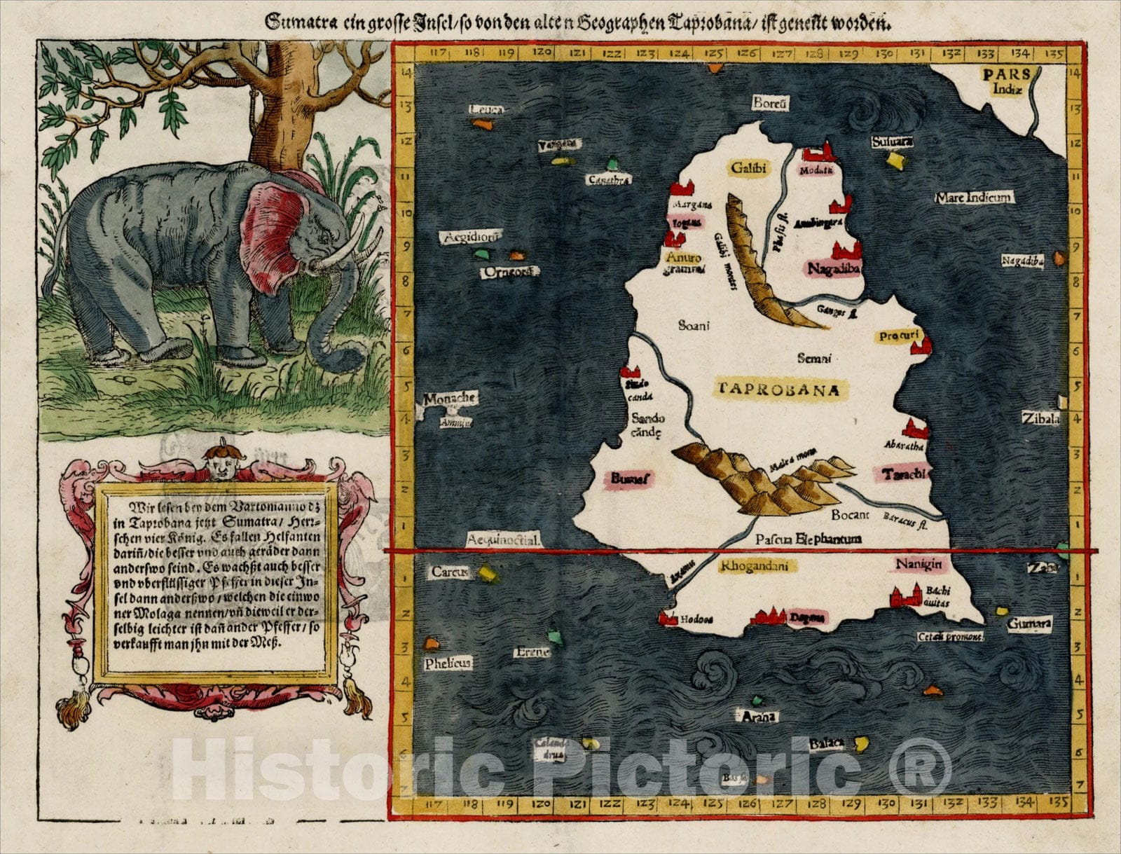 Historic Map : [Sri Lanka], c1570, Sebastian Munster, Vintage Wall Art