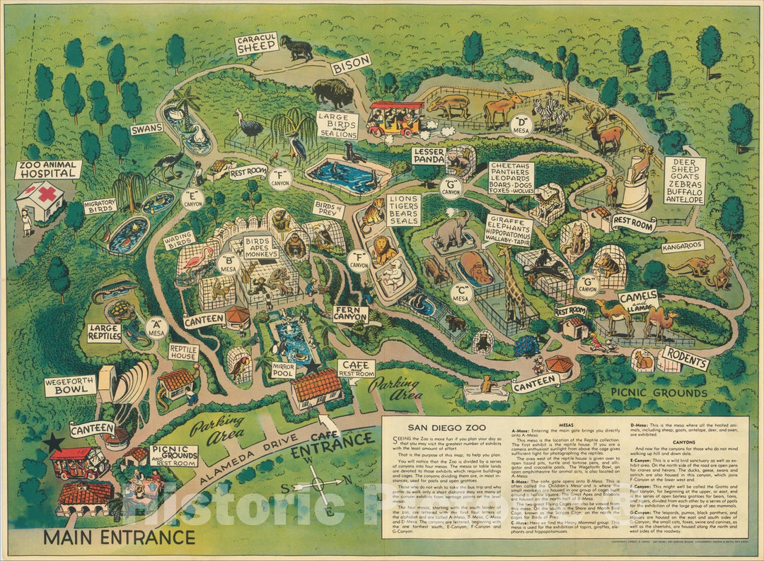 Historic Map : Recreational Map San Diego Zoo, 1950, R.W. Schultheis, Vintage Wall Art