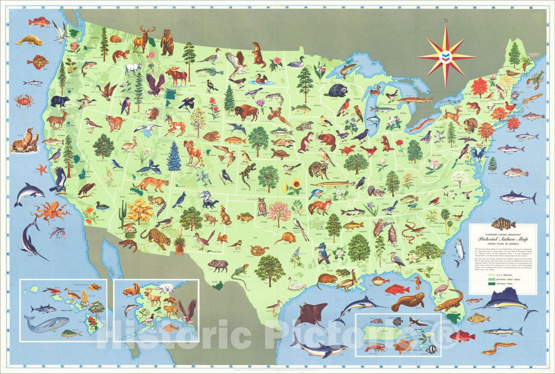 Historic Map : Standard School Broadcast Pictorial Nature Map United States of America, 1959, Standard Research Corporation, Vintage Wall Art