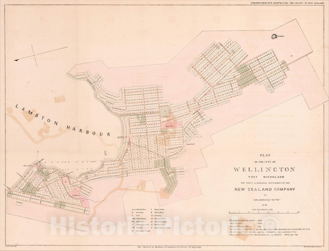 Historic Map : Plan of the City of Wellington Port Nicholson The First & Principal Settlement of the New Zealand, 1842, Vintage Wall Art