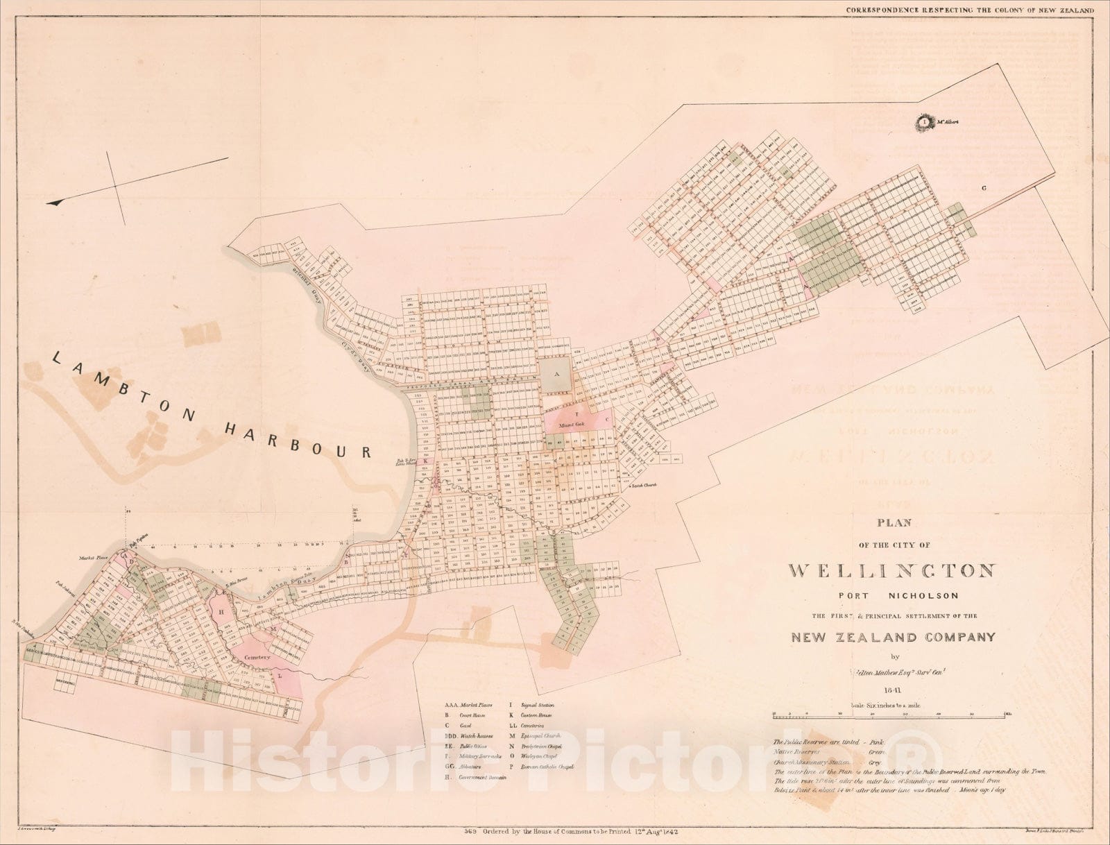 Historic Map : Plan of the City of Wellington Port Nicholson The First & Principal Settlement of the New Zealand, 1842, Vintage Wall Art