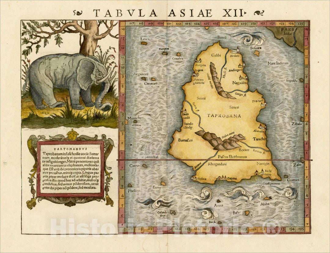 Historic Map : Tabula Asiae XII [Sri Lanka -- with Elephant], 1542, Sebastian Munster, Vintage Wall Art