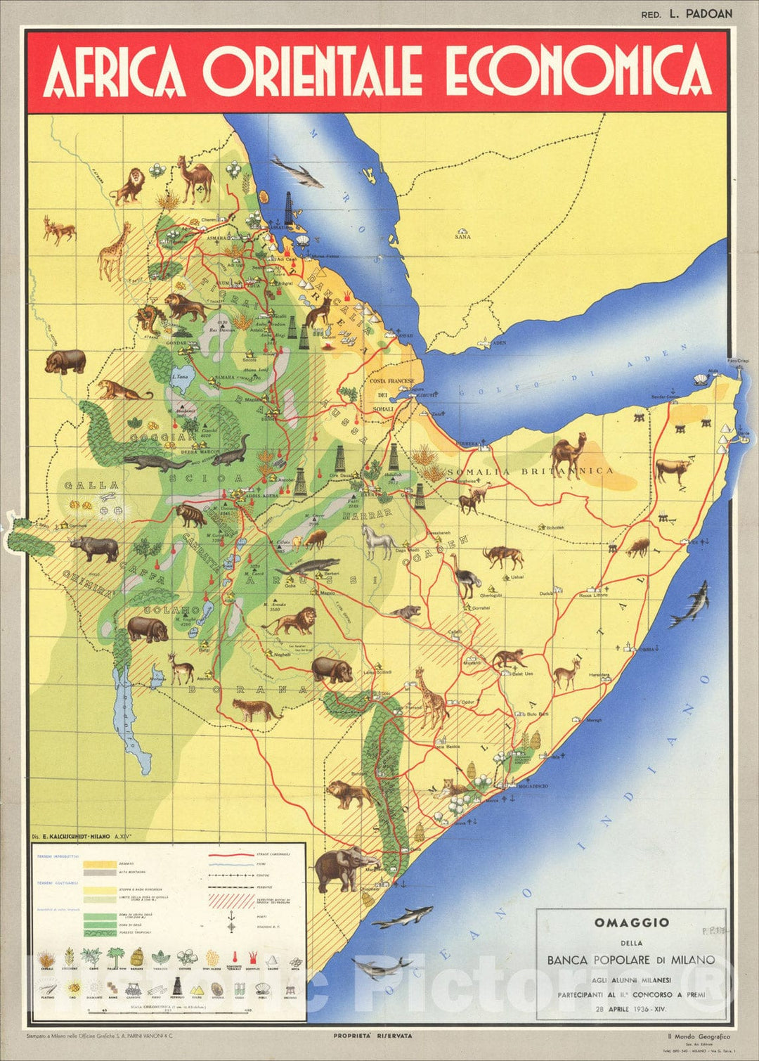 Historic Map : (Italian East Africa) Africa Orientale Economica, 1936, E. Kalchschmidt, Vintage Wall Art