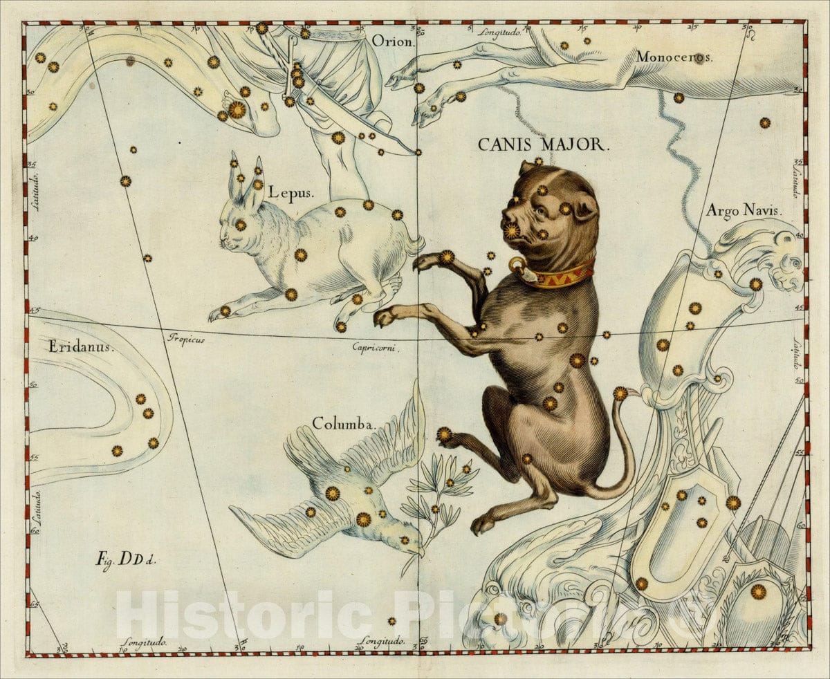 Historic Map : Firmamentum, Celestial Atlas, Canus Major, 1687, Johannes Hevelius, Vintage Wall Art