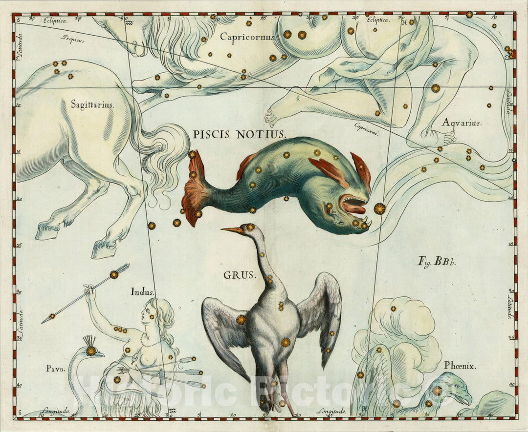 Historic Map : Firmamentum, Celestial Atlas, Piscis Notius & Grus, 1687, Johannes Hevelius, Vintage Wall Art