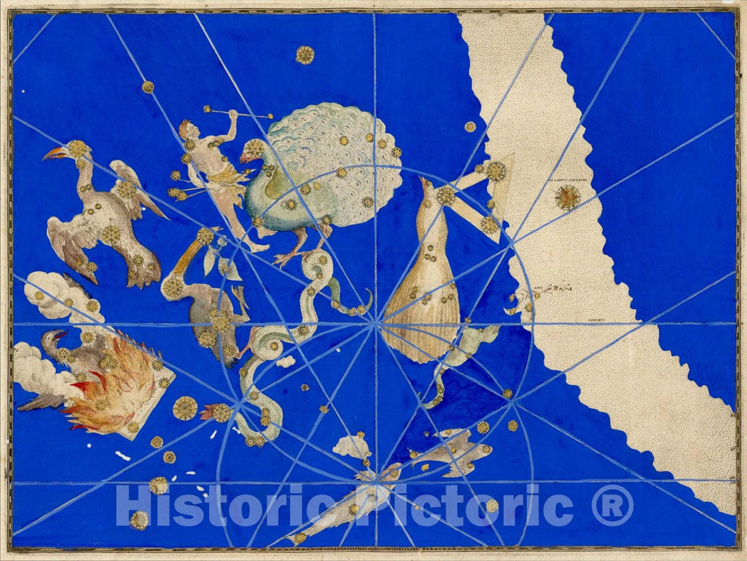 Historic Map : Uranometria, Celestial Atlas, Pavo, 1603, Johann Bayer, Vintage Wall Art