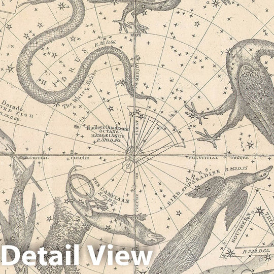 Historic Map : The Stars &amp; Constellations of The Southern Hemisphere, Burritt - Huntington, 1856, Vintage Wall Art