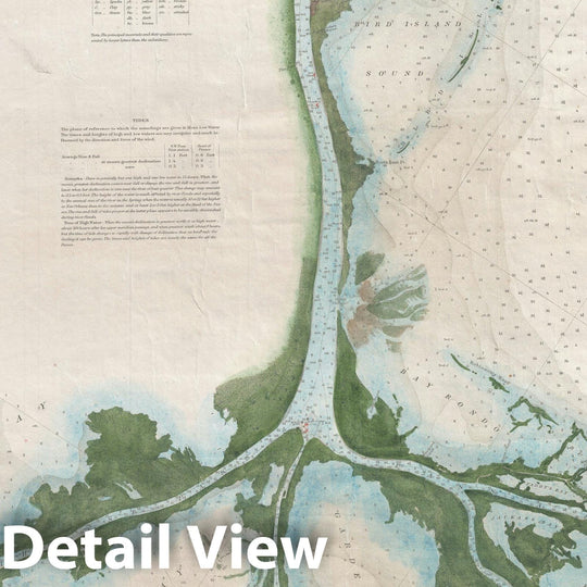 Historic Map : The Mississippi River Delta, U. S. Coast Survey, 1874, Vintage Wall Art