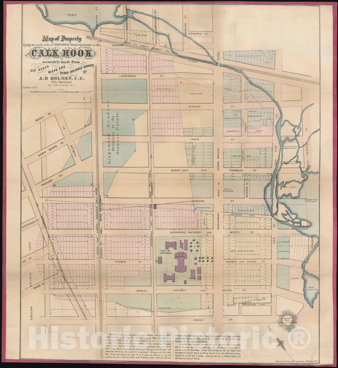 Historic Map : Tribeca and Collect Pond Area, New York City, Holmes, 1865, Vintage Wall Art