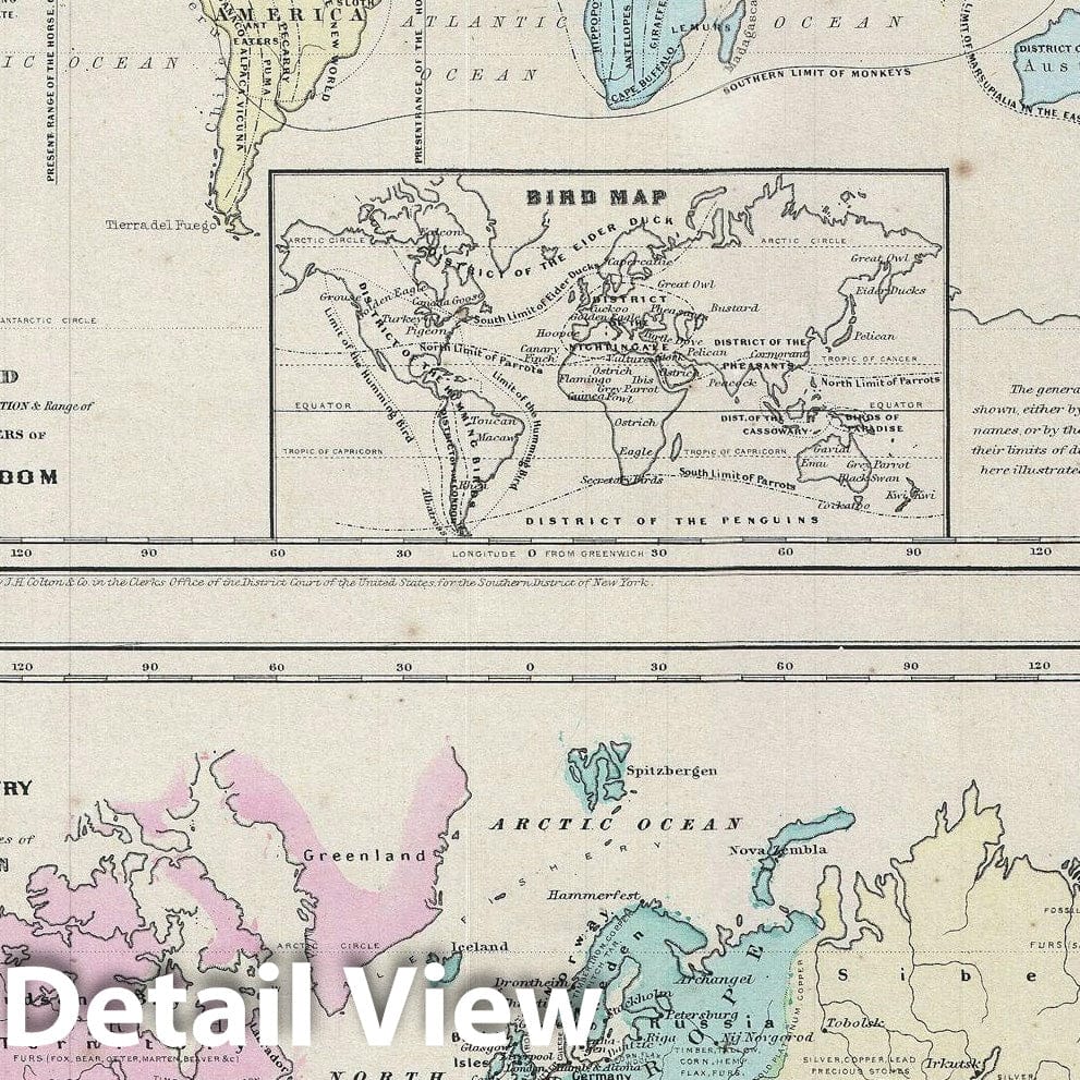 Historic Map : World Industry and Animals, Colton, 1856, Vintage Wall Art