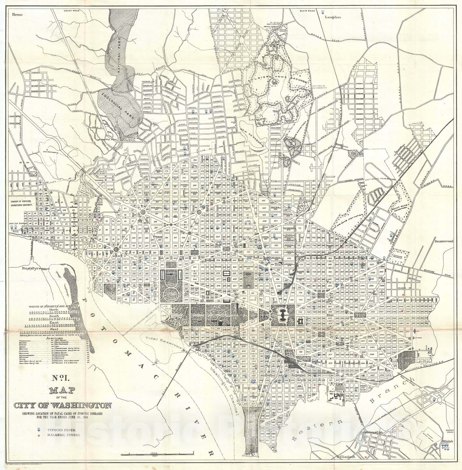 Historic Map : Washington D.C. w/ Typhoid Malaria Mortality, Norris Peters, 1901, Vintage Wall Art